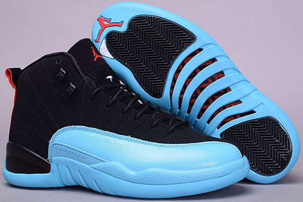 Jordan 12-009